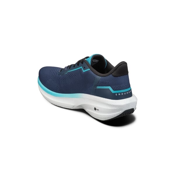 Endurance 3 M